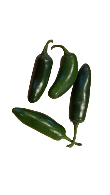 Chile jalapeño