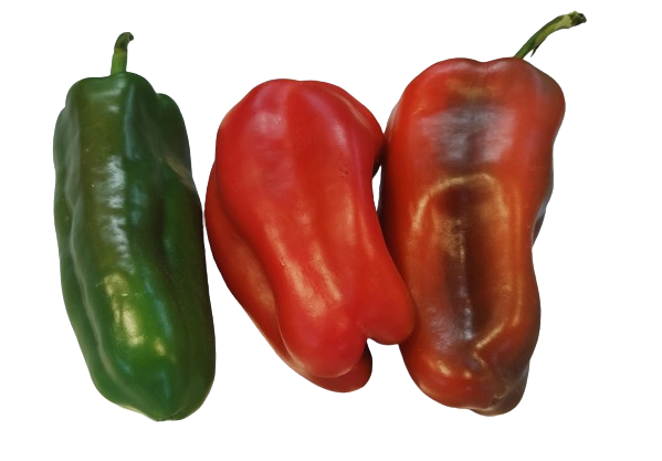 Chile pimiento