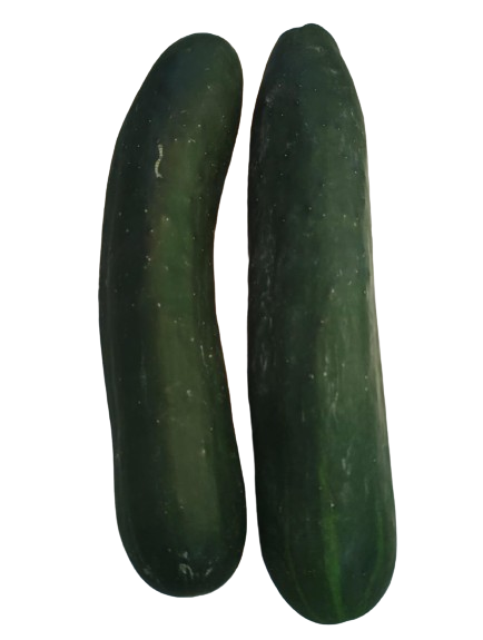 Pepino Guatemala